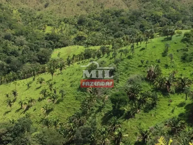 Fazenda 40 Alqueires (193 hectares) Padre Bernardo - GO
