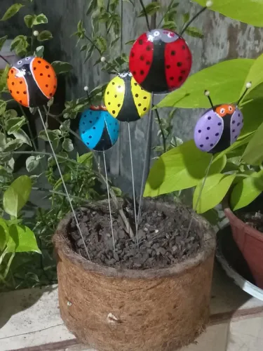 Decoração para plantas