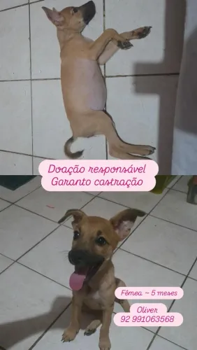 Doação responsável