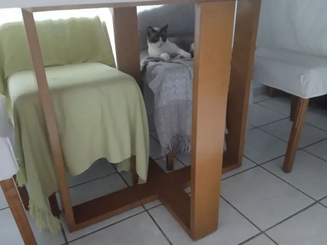 Vende-se mesa retangular tampa de vidro com 6 mesas 