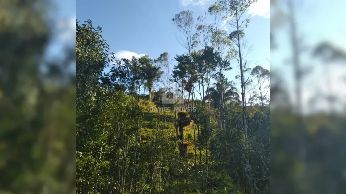 Chácara à venda em Campina Grande do Sul | 240.000 m² | próximo a BR-116