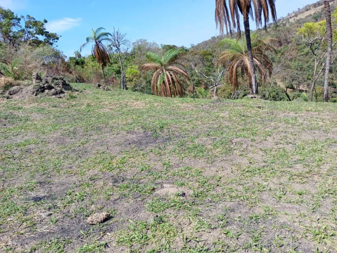 Terreno de 5 mil metros em azurita