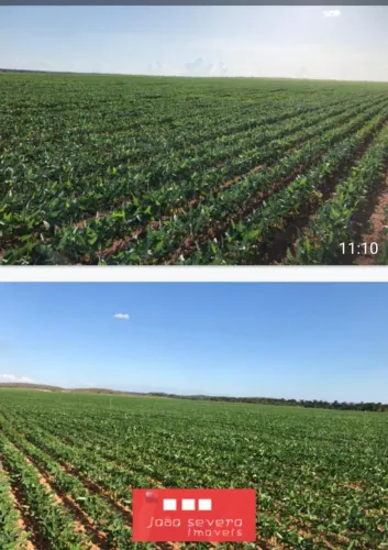 Fazenda para Venda em Rio Sono