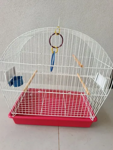 Gaiola