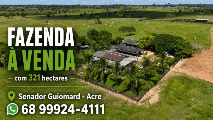 Fazenda com 321 Hectares