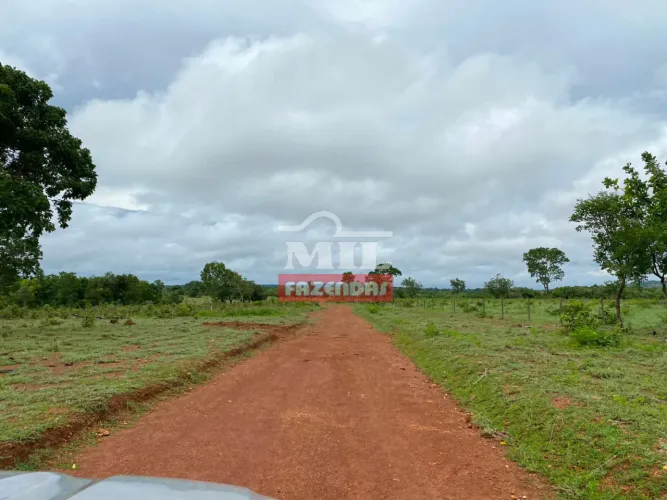 Fazenda 130 Alqueires (629,2 hectares) Mara Rosa - GO
