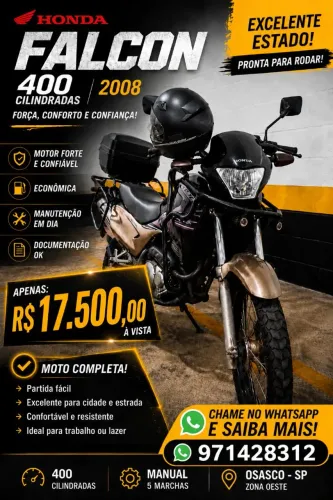 Falcon 2008
