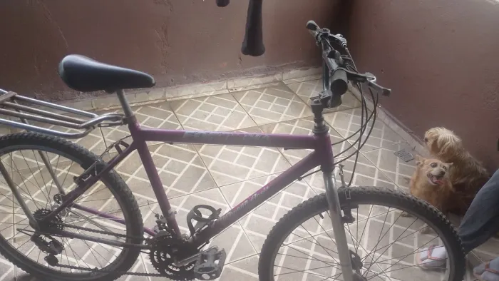 Bicicleta aro 26 fortuna