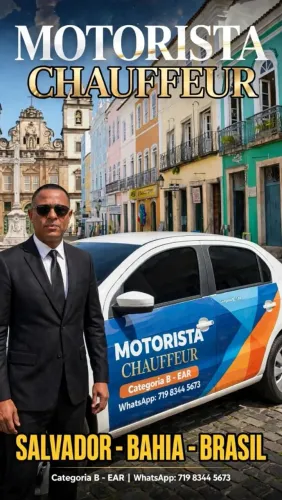 Motorista profissional diarii