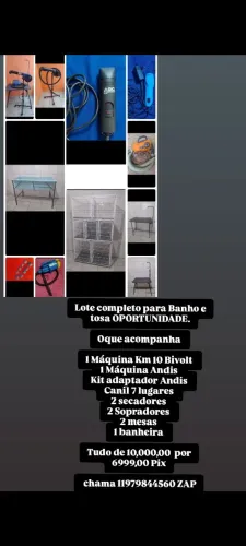 Lote completo banho e tosa por 699,00