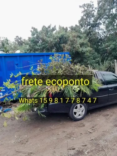 Retira-se galhos de poda de jardim  