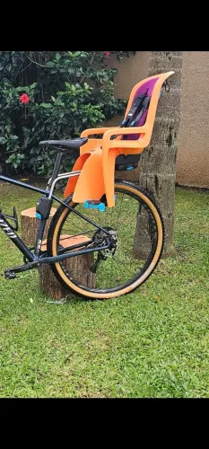 Cadeirinha Thule Ridealong 2