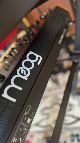 Moog Muse