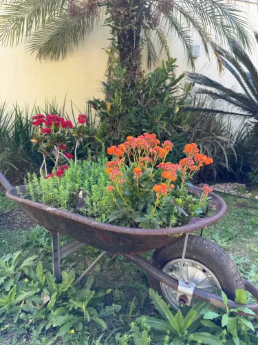 Terreno Vende-se 