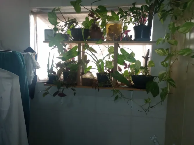 Lindo apartamento