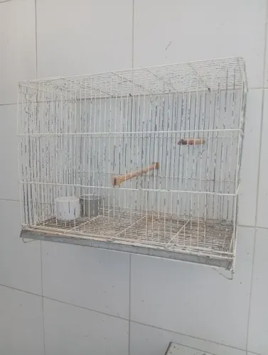 Gaiola de ferro para Agapornis