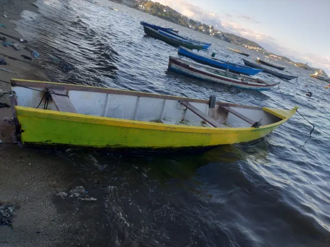 barco de fibra