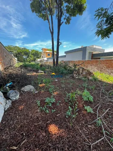 OPORTUNIDADE PARA INVESTIR OU CONSTRUIR: LOTE 360m MURADO, NO CONDOMINIO PORTAL DO IGARAPÉ