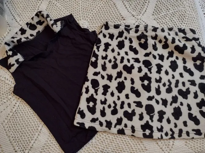 Conjunto 38 saia e blusa