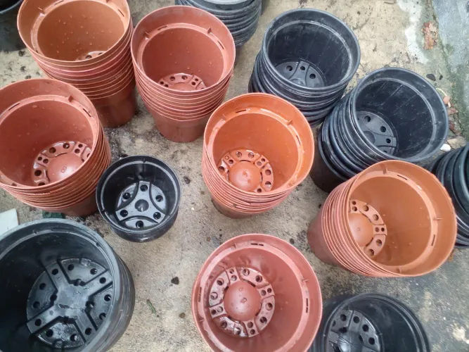 Vasos pra mudas de plantas