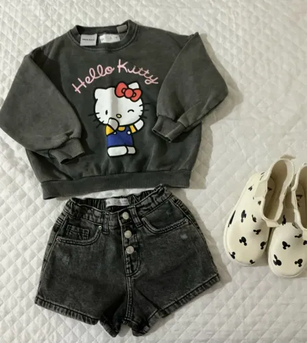  Moletons Infantis Temáticos - por unidade ( Zara/EUA)