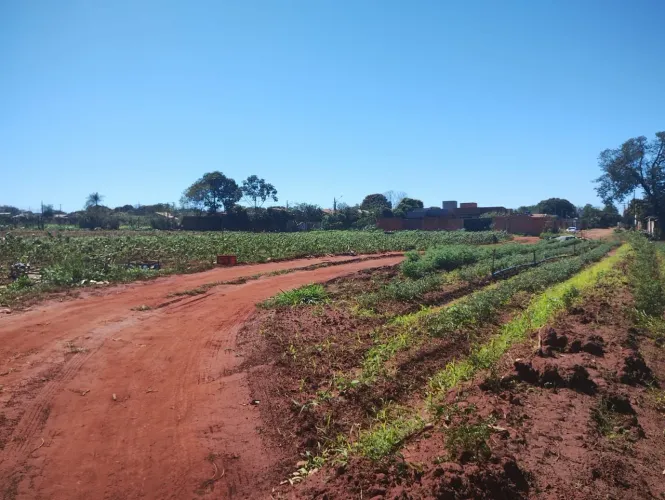 ÁREA 4500M2 PIONEIRO 
