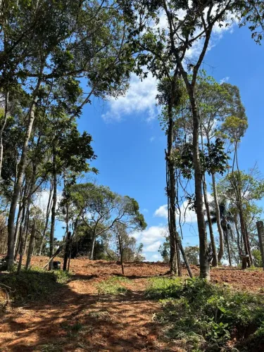 Chácara no saltinho da malhada 