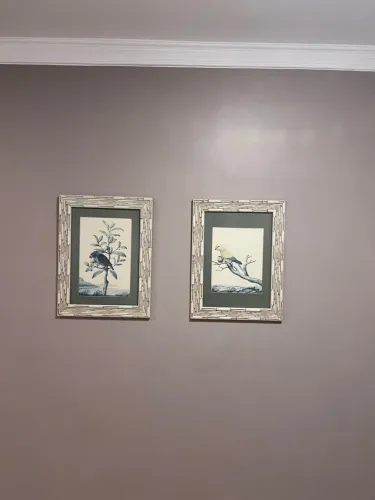 2 Quadros de Pássaros 63x48cm