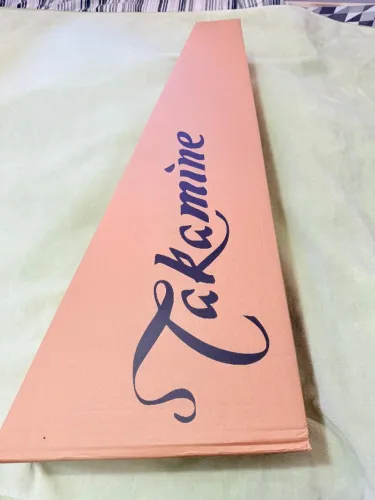 Violão Takamine GD20