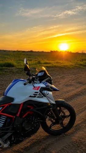 BMW GS 310 S