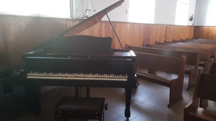 Piano de Calda (Instrumento Musical)