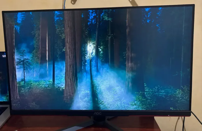 Monitor Gamer AOC 25G3ZM 24,5" 240Hz 0,5ms