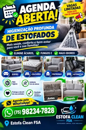 HIGIENIZAÇÃO de sofa 