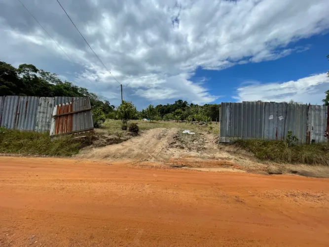 Terreno no ramal Águas brancas - estrada de Novo Airão 