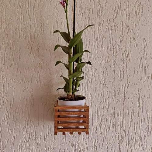 Cachipô ripinha de angelim!<br>10x10 <br>Envernizado