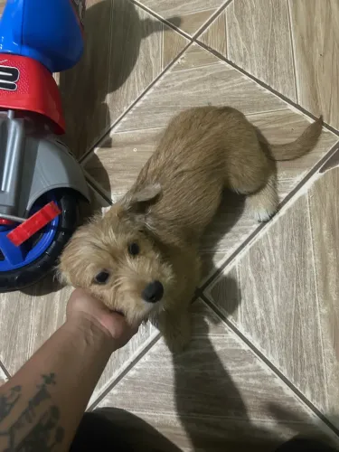 Doação 