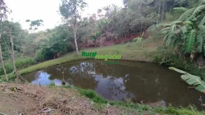 CHÁCARA FORMADA COM NASCENTES E LAGO EM LORENA-SP