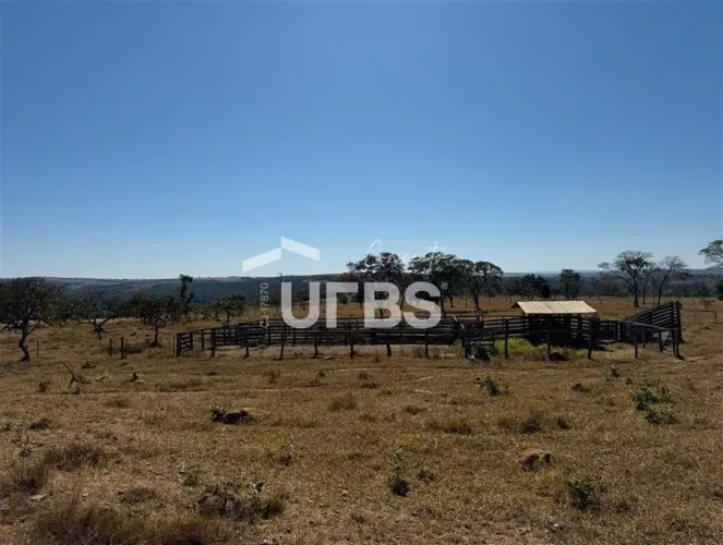 Fazenda de 29 Alqueires em Ipameri-GO  Riqueza Hídrica e Estrutura Pronta