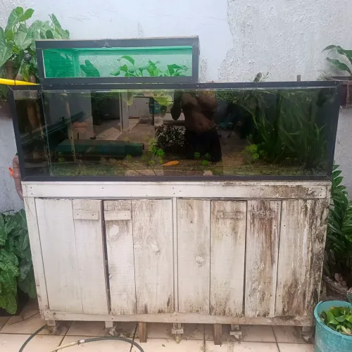 Aquário com Sump 600L