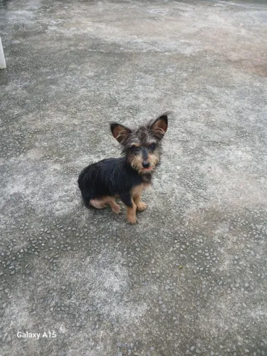 Doação 