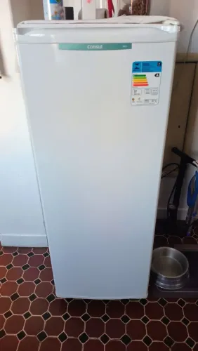 Freezer vertical