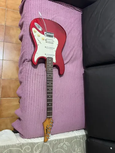 Guitarra washburn lion