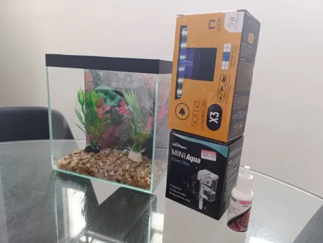 Aquário Pequeno Completo