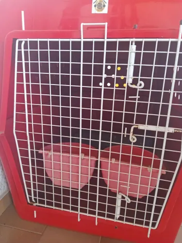 Vendo caixa de transporte de viagem para pet