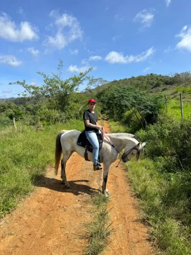Cavalo tordilho