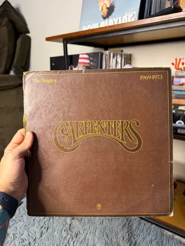 Lp The Carpenters - The singles