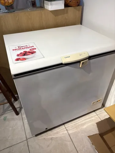 Freezer 127V - 310 Litros