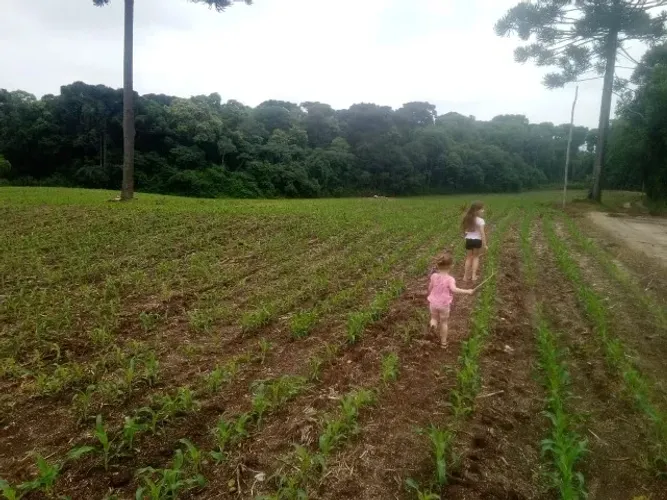 OPORTUNIDADE! TERRENO PARA PROJETOS DE CHACARAS