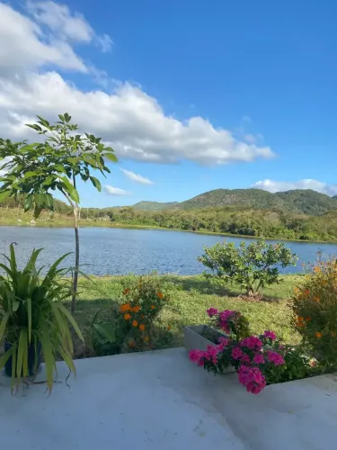 VENDA Fazenda de 335 hectares