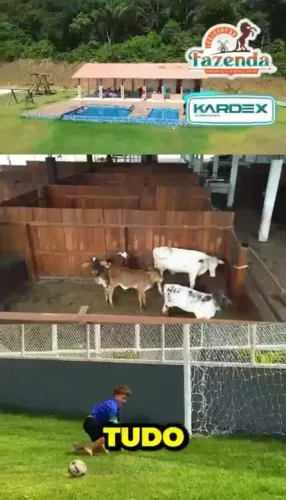 Lote parcelados sem consulta SPC / CHÁCARA DA FAZENDA
